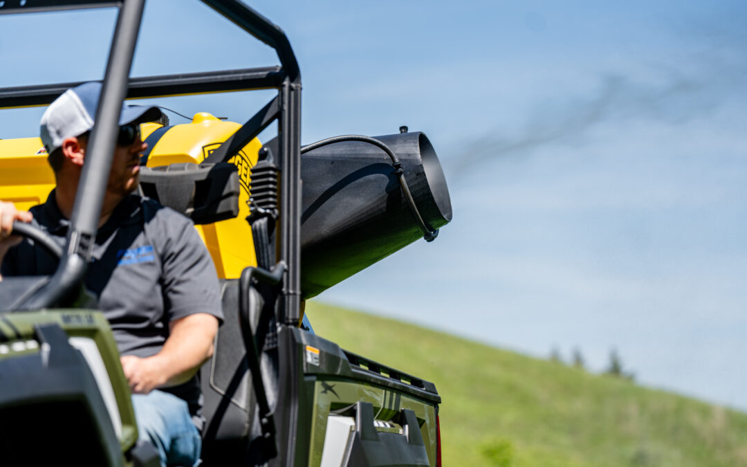 Mosquito Control Myths Busted – What Really Works?