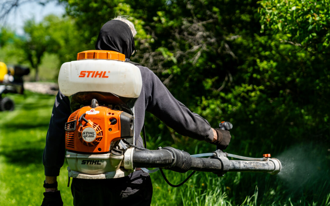 9 Tips to Prevent Mosquito Bites This Summer