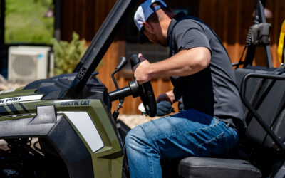 How Weather Affects Mosquito Populations